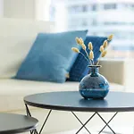 Lecomte - Prime 51 奥斯滕德