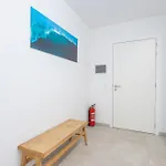 Lecomte - Prime 51 *